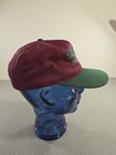 Vintage 1990s Bud Light Budweiser Snapback Cap Hat Embroidered Usa Purple green