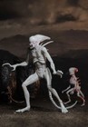 Neca Alien  Romulus Prequel Movie Neomorph 7inch Action Figure Collection Toys