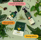 House Plant Care Essentials Kit