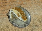 2013 Fish Ohio Pin Award brown Trout very Nice 