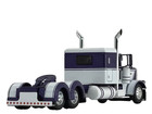1 64 Dcp Purple white Peterbilt 389 W  48  Flat Top Sleeper