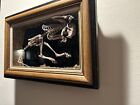 Vintage Squirrel Skeleton In Shadow Box
