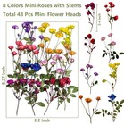 8 Types Real Dried Pressed Rose Flowers Plant Herbarium For Craft Mini