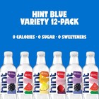 Hint Water 12 Pack 16oz Variety Sugar Free Zero Calorie Flavored Bottles
