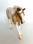 Breyer 2021 Breyerfest Seven Arts Surprise Palomino Pintaloosa Matte Dundee New