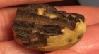 Unusual Unique Rare Wood Look  Vintage Antique Button  6122