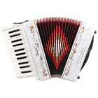 Rossetti Beginner Piano Accordion 12 Bass 25 Keys White