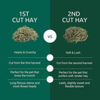Kaytee 2nd Cut Soft And Lush Timothy Hay For Pet Guinea Pigs  Rabbits   Other Sm