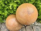 Pair  Colonial Oak Ball Shape Solid Wood Newel Post Finial Architecture Salvage