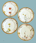 Fischer   Mieg   Pirkenhammer Antique Floral   Gold Dinner Plates - S 4
