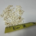 Lot Of 100 Assorted Small Coyote Teeth Real Cleaned Taxidermy Weird Goth  2481