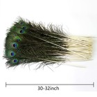 24pcs Peacock Feathers Natural Long In Bulk 30-32 Inch 75-80 Cm  For Floral A   