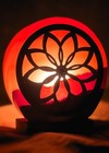 Himalayan Salt 3d Flower Lamp   3   4kg Pure Pink Rock   Luxury Wellness Decor