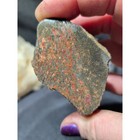 Gem Bone Multicolored Polished Specimen  119grams 