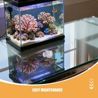 8 Pcs Hanging Wall Planter Acrylic Flower Vase Aquarium Fish Food Feeder