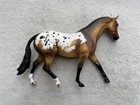 Stunning Breyer Peter Stone Horse    hot Toddy    Bay Appaloosa English Pony Braided