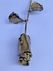 3 Vintage Brass Bronze Long Stem Roses Metal Art Flower Sculpture Brutalist 13   