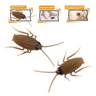 Remote Control Realistic Fake Cockroach Rc Toy Prank Insects Roach Gift For Kid