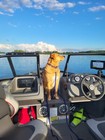 Used Aluminum Fishing Boats For Sale