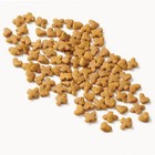 Purina Kitten Chow Nurture Kitten Muscle   Brain Development Dry Cat Food