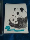 Panda Mom And Baby 2 Pc Set- 6 Blank Notecards And Magnet - New