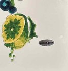 Lickable Wallpaper - Autographed  Signed By 4  Sold By  The Mike Tv Actor 