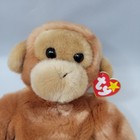 Ty Beanie Buddy Bongo Monkey Plush 1998 Collectible Brown 15 Inch  Vintage