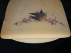 Art Deco Glass Ceiling Light Shade Bird Floral Yellow 3 7 8  Fitter 8 w X 6 d