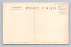 Palm Beach Fl-florida  Golfing  Golf Course  Souvenir Vintage Postcard