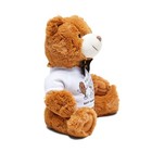 Plush Teddy Bear Companion