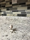 Littlest Pet Shop Authentic Lps White Shorthair Cat Blue Eyes Pink Ears 2004