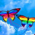 Butterfly Kite For Adults And Kids  1 45m   Single Line Kite For Outdoor