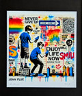     aidan Flux   Hand Signed Original Print Framed Ltd  Ed  Coa   Enjoy Life Now  