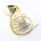 C g  Conn Model 11dn Professional Geyer Wrap French Horn Sn 663664 Open Box