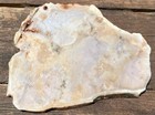 Pastel Burro Creek Jasper Agate Slab Unpolished Cabbing Rough Lapidary Gem 71g 