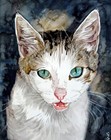 Commissioned Pet Portrait From Your Photo Custom Painting