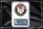 2019 S American Silver Eagle Proof   Pr70