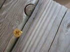 Vintage  12 X 1 3 4  Solid Brass Phillips Flat-head Wood Screw Lot Of 2 Usa