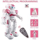 Gesture Sensing Programmable Rechargeable Remote Control Robot Boys Girls Gift