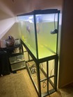Top Fin 55 Gallon Fish Tank Aquarium With Metal Stand  black In Great Condition 