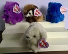 Lot Of 4    new    Puffkins Plush W tags Scooter   Crystal   Violet   Skylar 