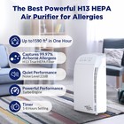 Home True Hepa Air Purifier Large Room Air Filters For Allergies Smoke Pet Odor