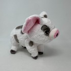 Disney Store Moana Pua Plush Stuffed Animal Pig Cute White Gray Cuddle Hog 9 