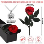 Ledoira Preserved Real Rose Forever Flowers With Heart I Red With Necklace 