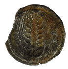 Rare Greek Coin  Lucania  Metapontum  Nomos  Stater  530-510 Bc 