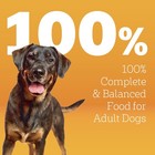 Pedigree High Protein Adult Dry Dog Food Beef And Lamb Flavor Kibble 30 Lb Bag