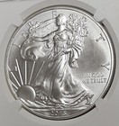 2015 P American Silver Eagle Struck At Philadelphia Mint One Of 79 640 Ngc Ms 69