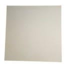 John Williams America The Dream Goes On 12x12 Promo Flat Poster Vintage 1985