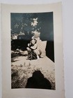 Old Snapshot-young Girl Hugging Her Dog-great Dane 