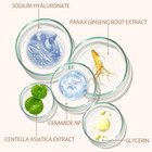 Colour Changing Foundation  Foundation 4 In 1 Medium Full Coverage Concealer Fou